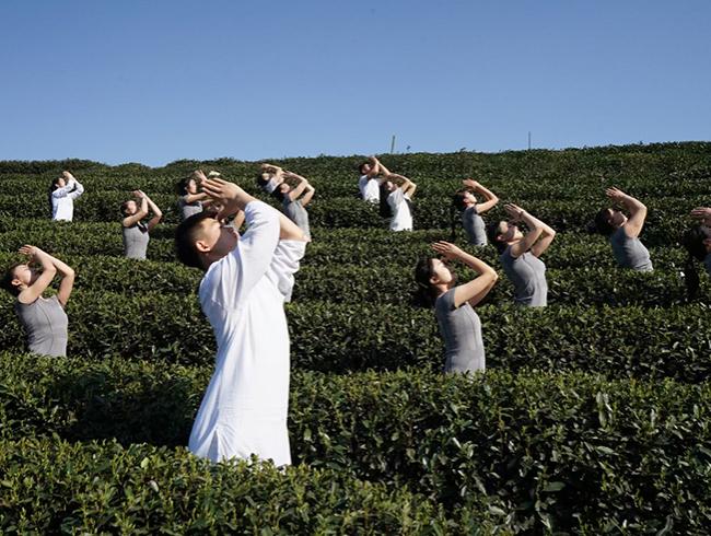 杭州尊龙人生就是博d88瑜伽学院